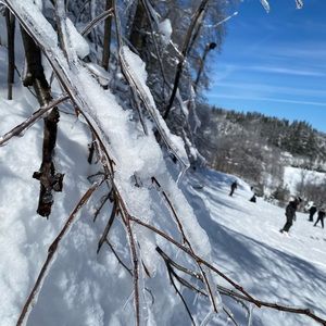 Meet your Posher, Joanna